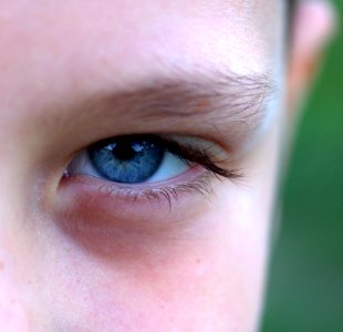 Blue Close-up Eye photo