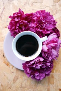 Aromatic Black Coffee photo