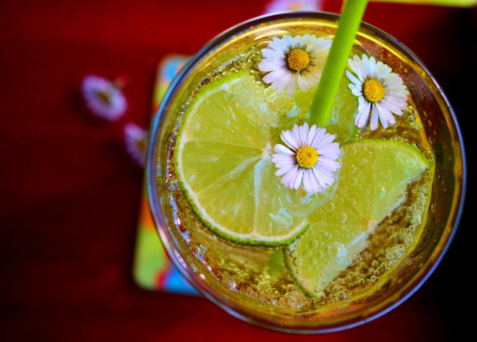 Beverage Citrus Cold