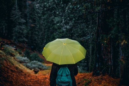 Photography Of A Person Holding Yellow Umbrella