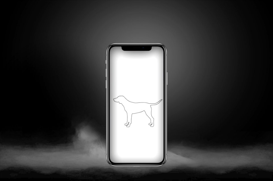 Black And White Mobile Phone Technology Gadget