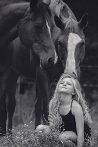 Horse Black And White Photograph Monochrome Photography photo