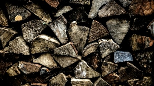 Leaf Wood Texture Rock