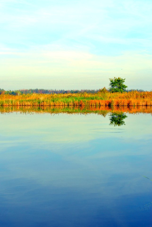 Reflection Water Wetland Water Resources