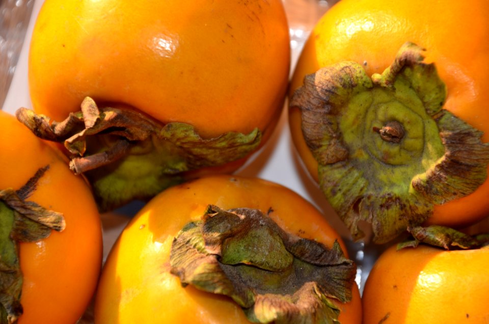 Fruit Produce Food Diospyros