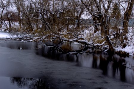 Water Winter Reflection Nature