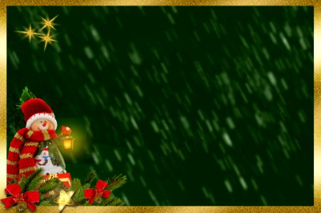 Green Grass Christmas Fir