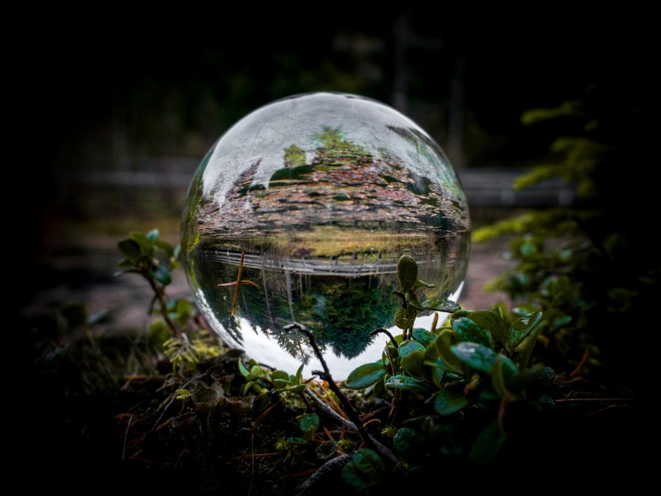 Nature Reflection Sphere Water
