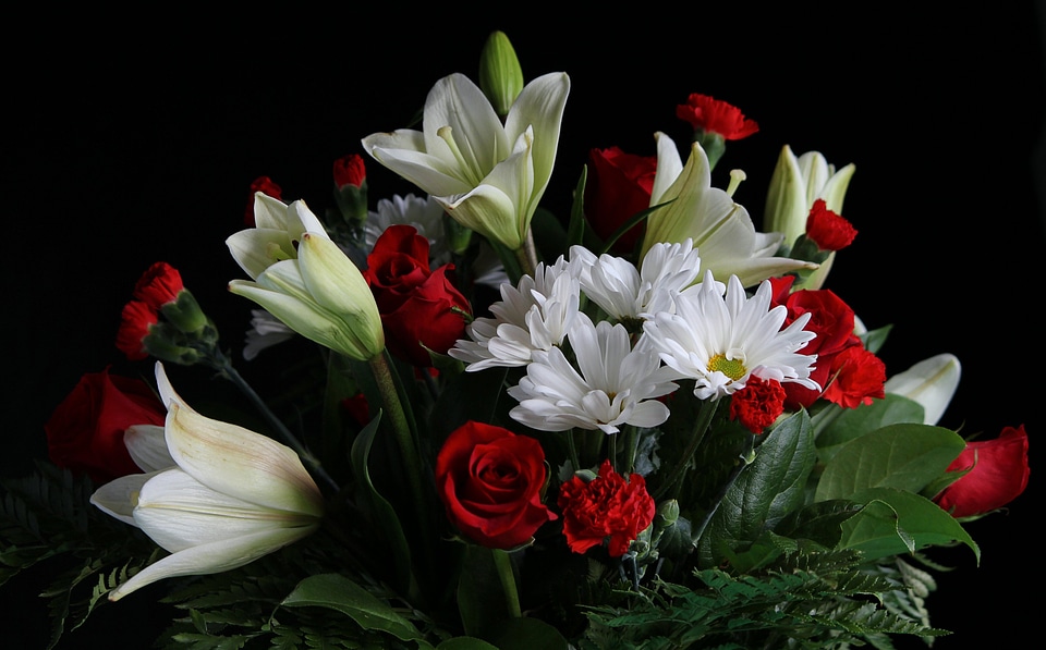 Roses carnations daisies