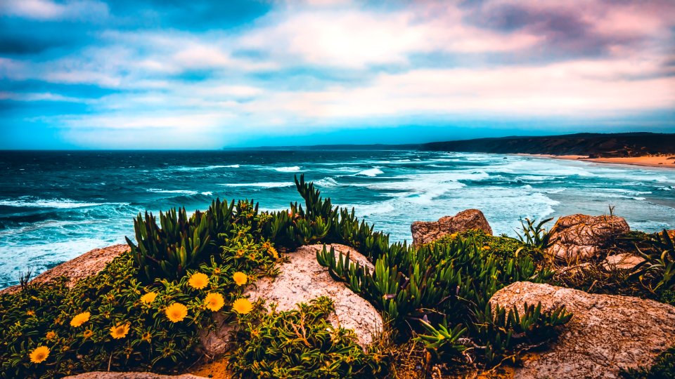 Sea Coast Shore Sky photo