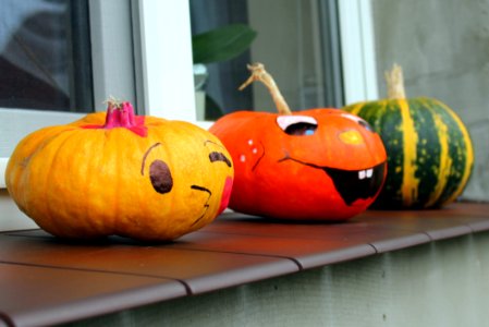 Cucurbita Winter Squash Calabaza Pumpkin