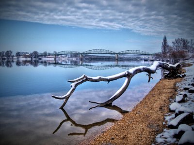 Reflection Water Freezing Branch