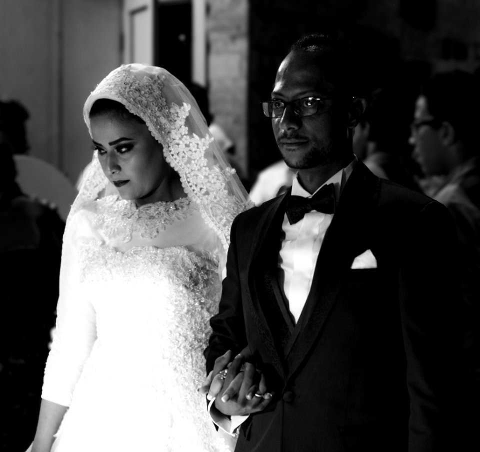 Gown Wedding Dress Bridal Clothing Photograph