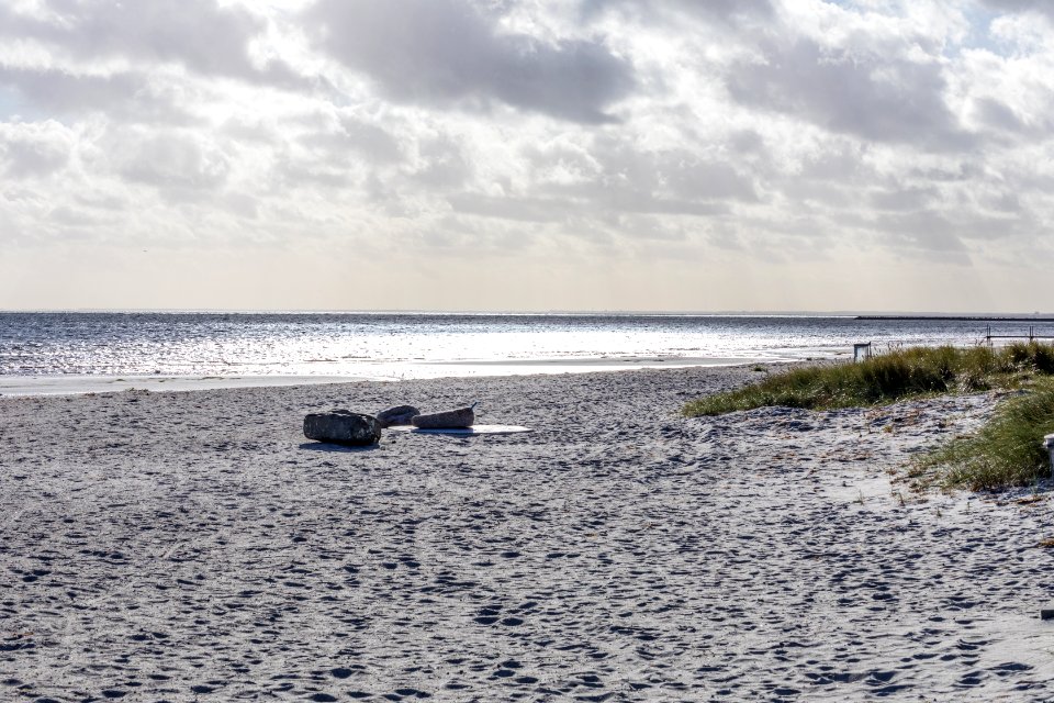 Sea Body Of Water Shore Sky
