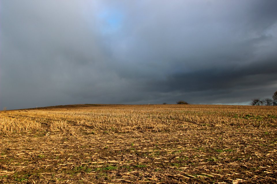 Sky Field Ecosystem Cloud
