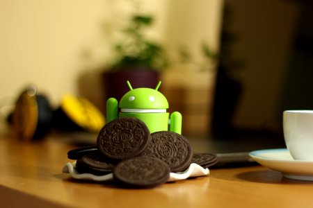Product Design Sweetness Cup Finger Food