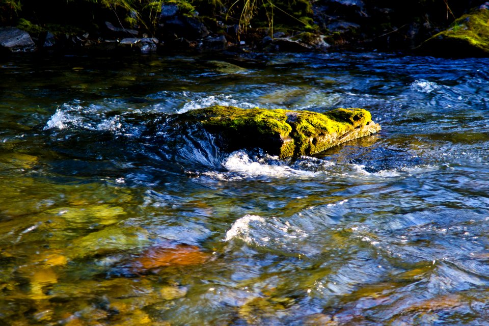 Water Stream Body Of Water Watercourse