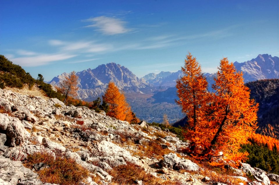 Mountainous Landforms Mountain Wilderness Tree photo