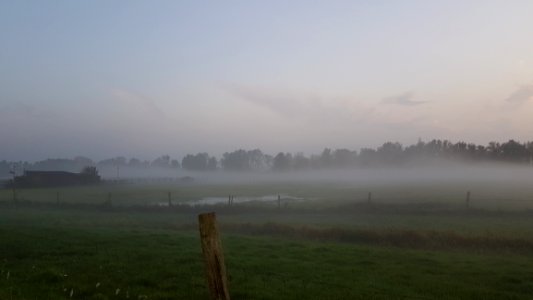 Fog Mist Sky Morning
