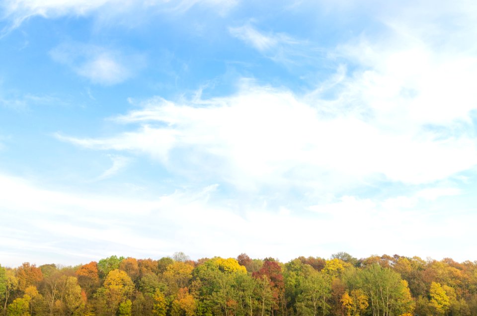 Sky Cloud Daytime Ecosystem