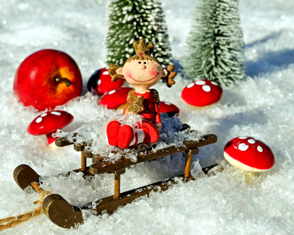 Christmas Ornament Christmas Decoration Christmas Snow