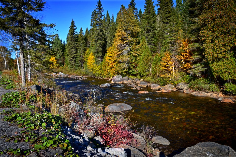 Nature Water Wilderness Reflection
