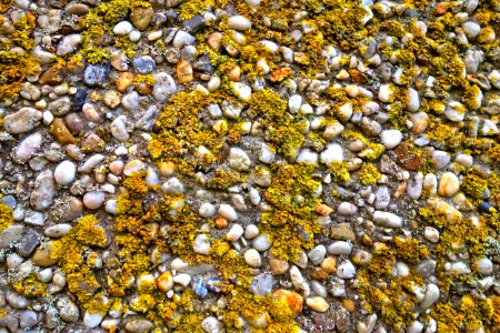 Rock Pebble Gravel Mixture photo