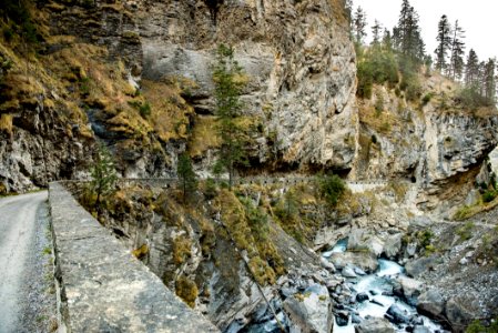 Rock Water Geological Phenomenon Tree