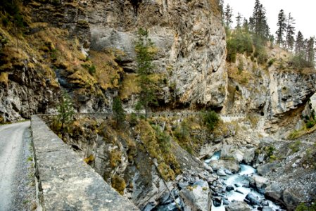 Rock Water Geological Phenomenon Tree photo