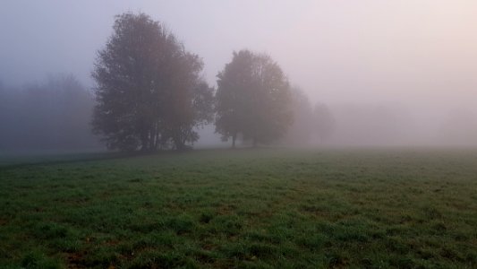 Fog Mist Morning Atmosphere