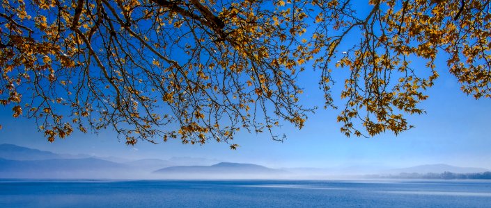 Sky Nature Water Leaf