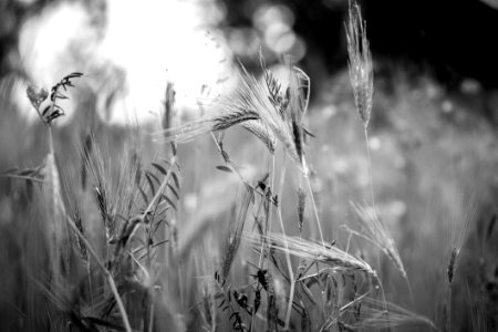 Black And White Monochrome Photography Photography Monochrome