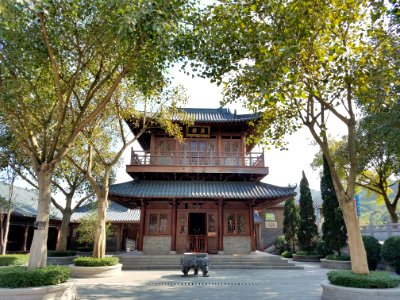Chinese Architecture Tree Shinto Shrine Temple