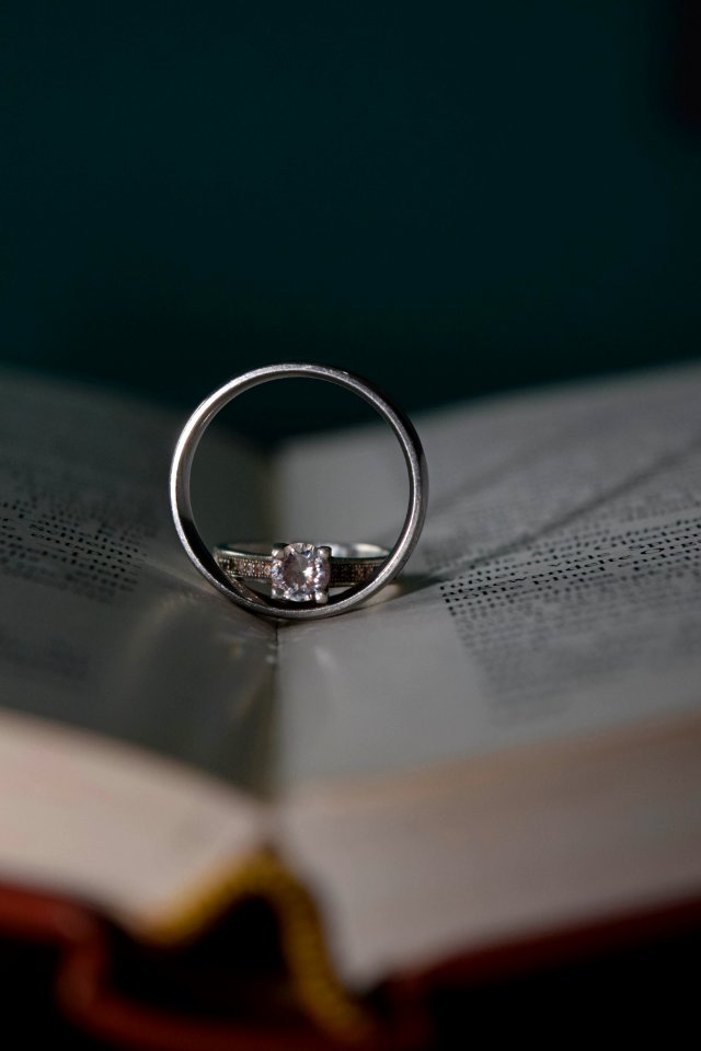Close Up Photography Macro Photography Ring