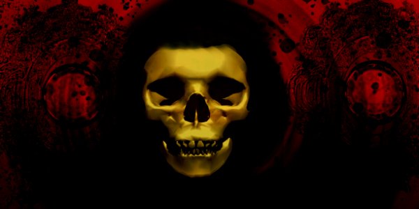 Skull Bone Darkness Close Up