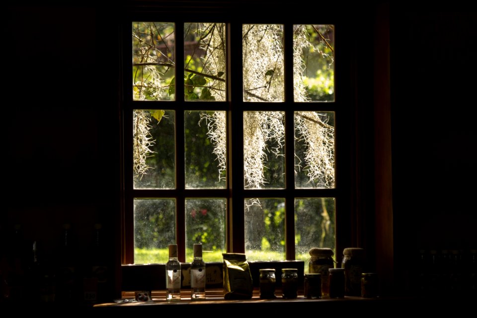 Window Glass Interior Design Home