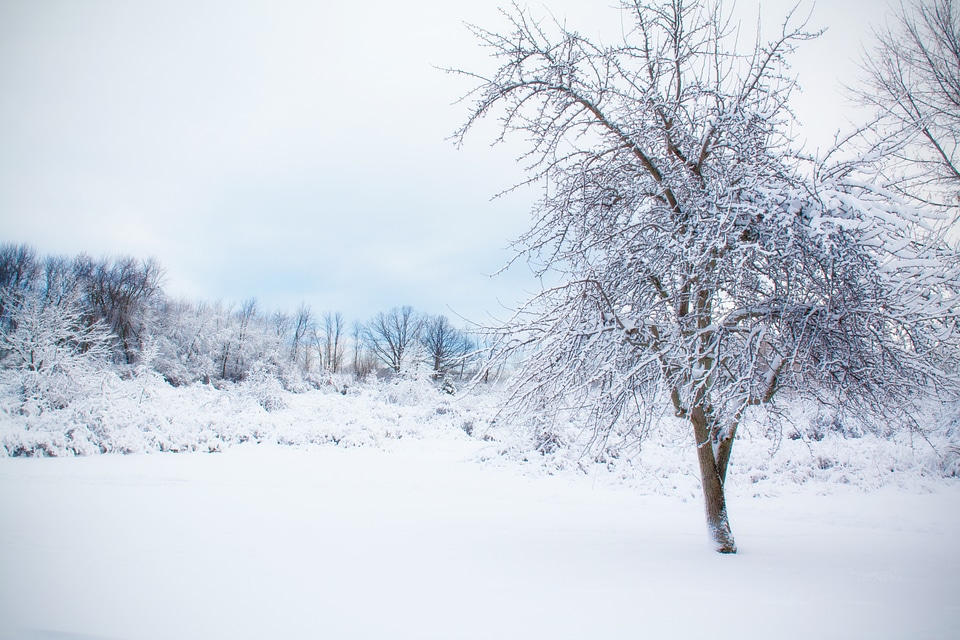 Landscape outdoor white