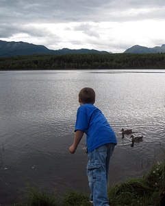 Mountains ducks water
