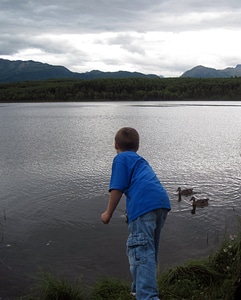 Mountains ducks water photo