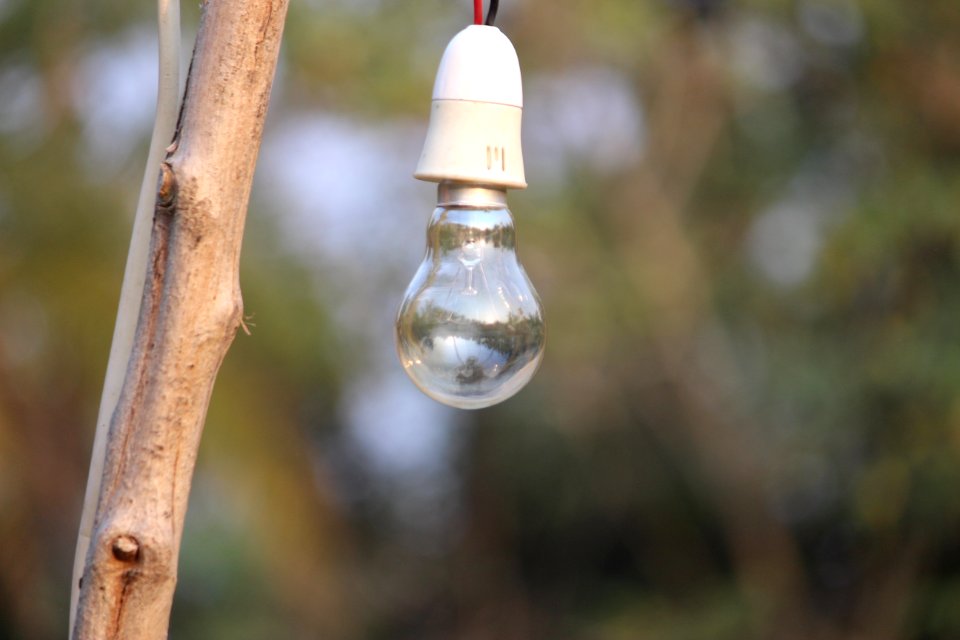 Lighting Light Fixture