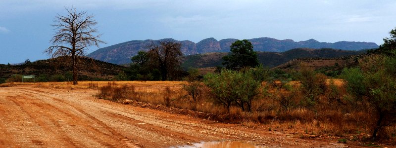 Road Soil Vegetation Mountainous Landforms photo