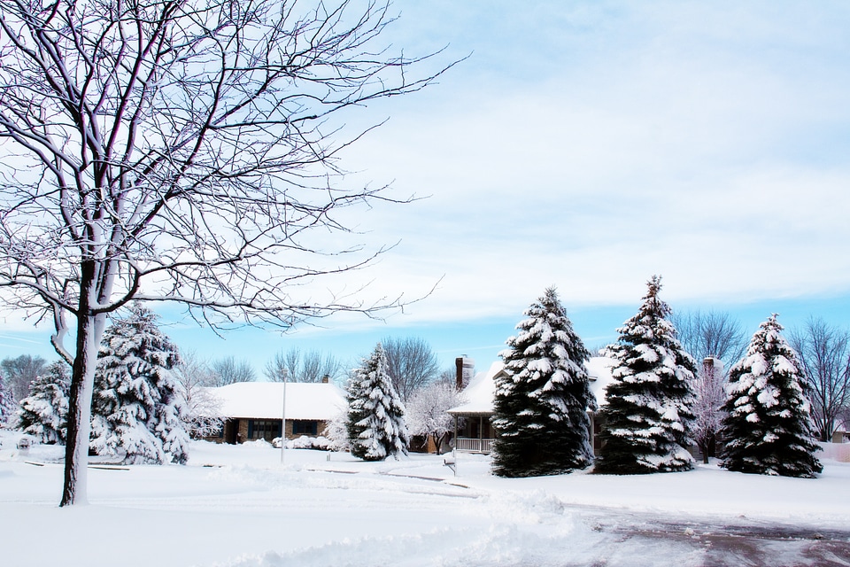 Winter landscape outdoor