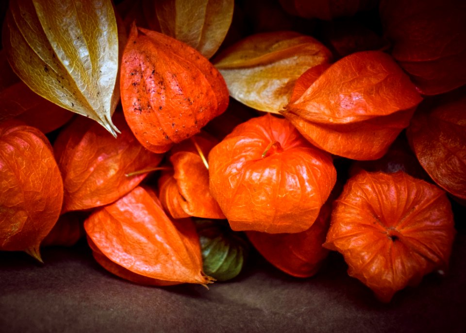 Fruit Orange Vegetable Local Food