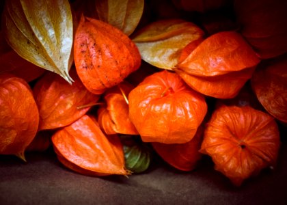 Fruit Orange Vegetable Local Food