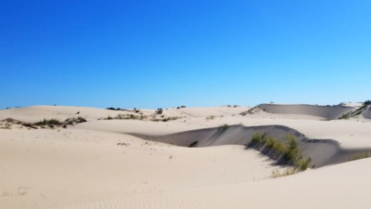Aeolian Landform Sky Sand Dune photo