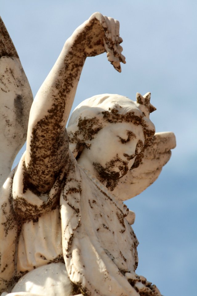 Sculpture Statue Classical Sculpture Stone Carving