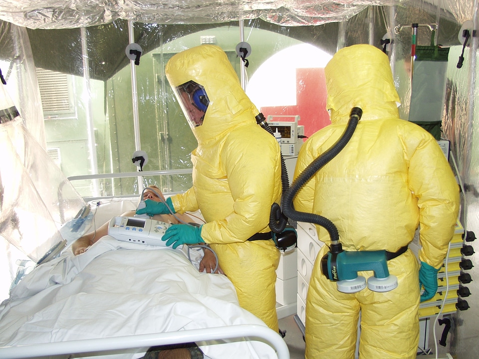 Virus pathogens contagious