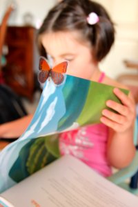 Girl Reading Child Toddler photo