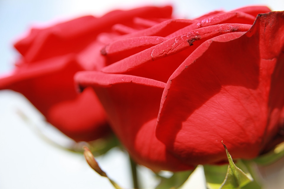 Wedding valentine romantic