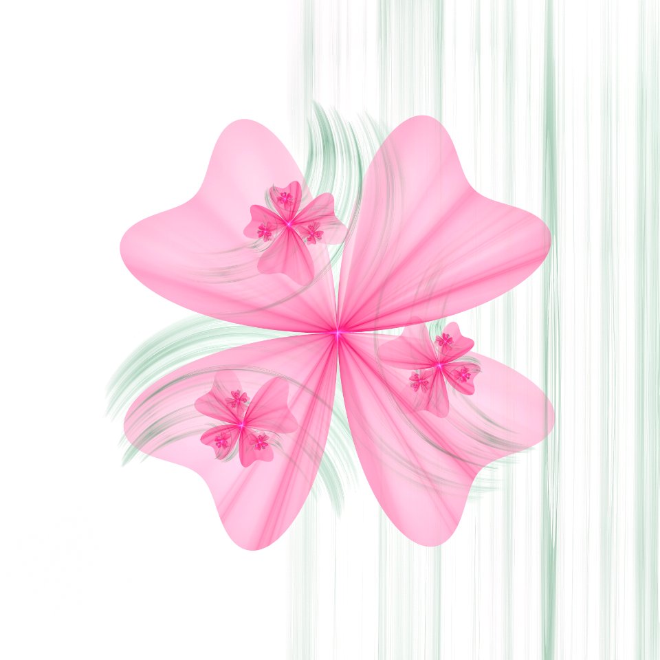 Flower Pink Petal Cut Flowers